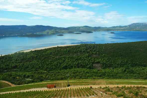 Top 10 things to do in Croatia: Wine Tour