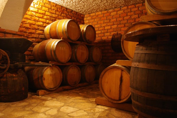 Istrian Wines: Wine cellar