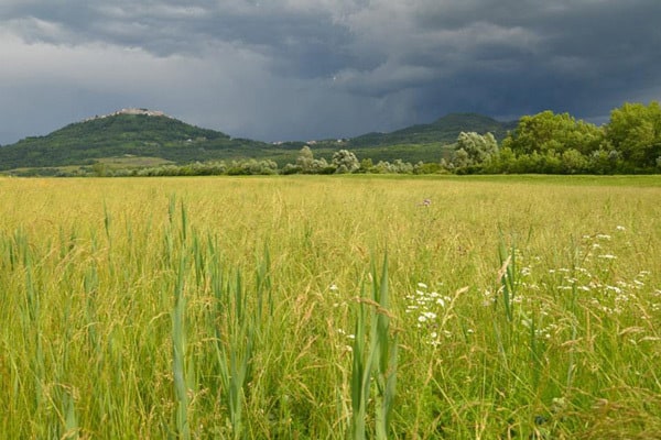 Istrian Hilltop Towns: Green Istria