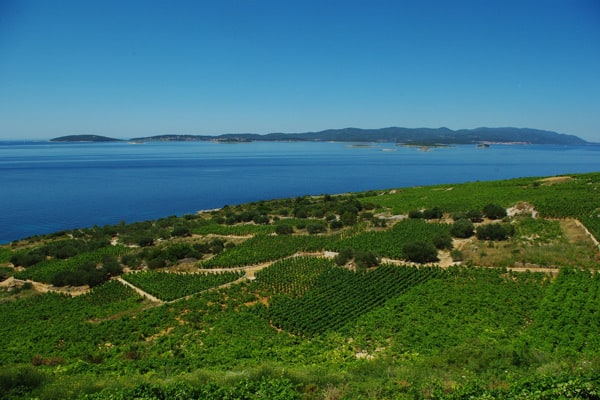 Reasons to visit the Peljesac peninsula: Postup