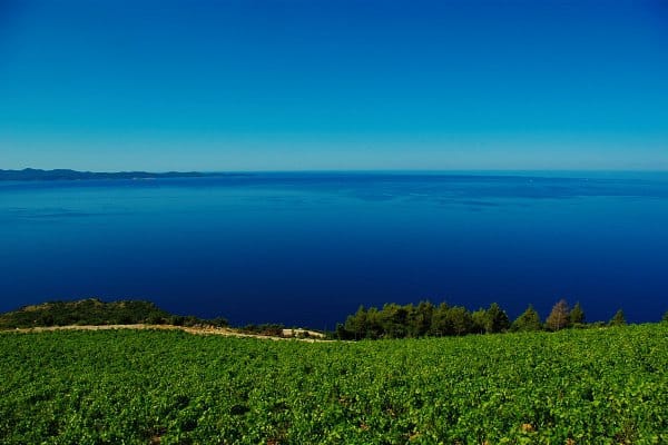 Borak Peljesac: wonderful views from DIngac