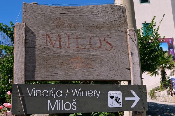 Croatia Wines | Back at the Frano Milos Winery for a cellar tour and some wine tasting