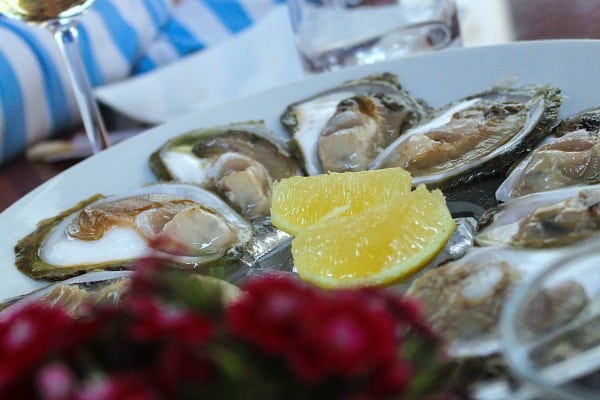 Peljesac Peninsula Travel Guide | Oysters from Ston