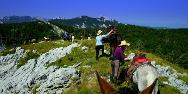 Horseback riding on the Velebit mountain