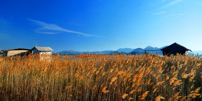 Panasonic Lumix GF7 Review |An estuary of the Neretva River, Croatia