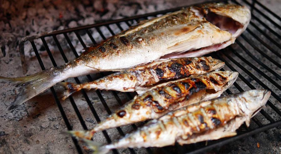 Grilled fish, Croatia, gradela,