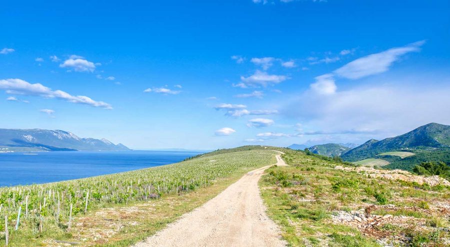 A path from Komarna to Terra Madre Winery, seview, hills