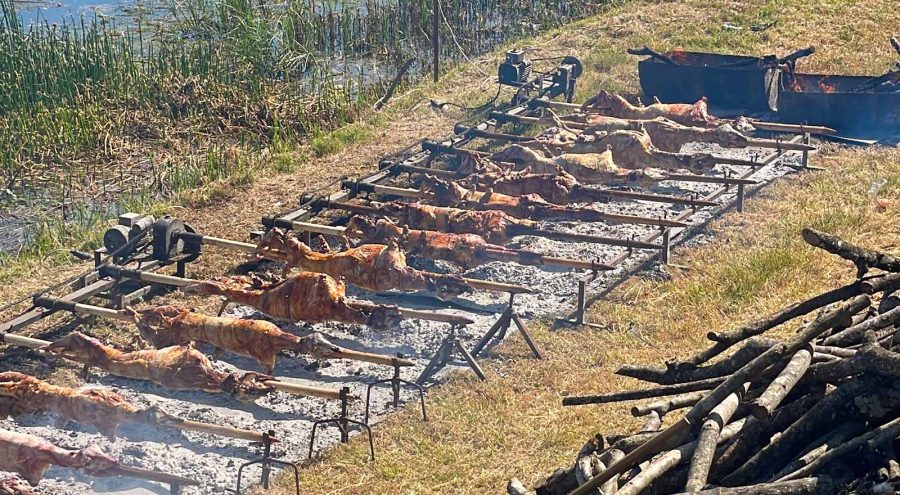 spit-roasted lamb in metkovic, croatia