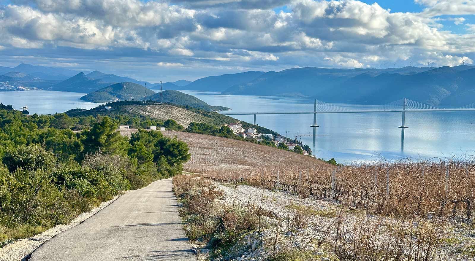 Villa Dorida, Komarna, Vineyards, Views
